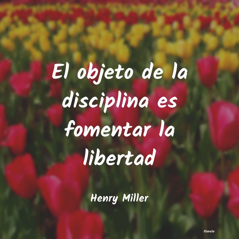 orden y disciplina