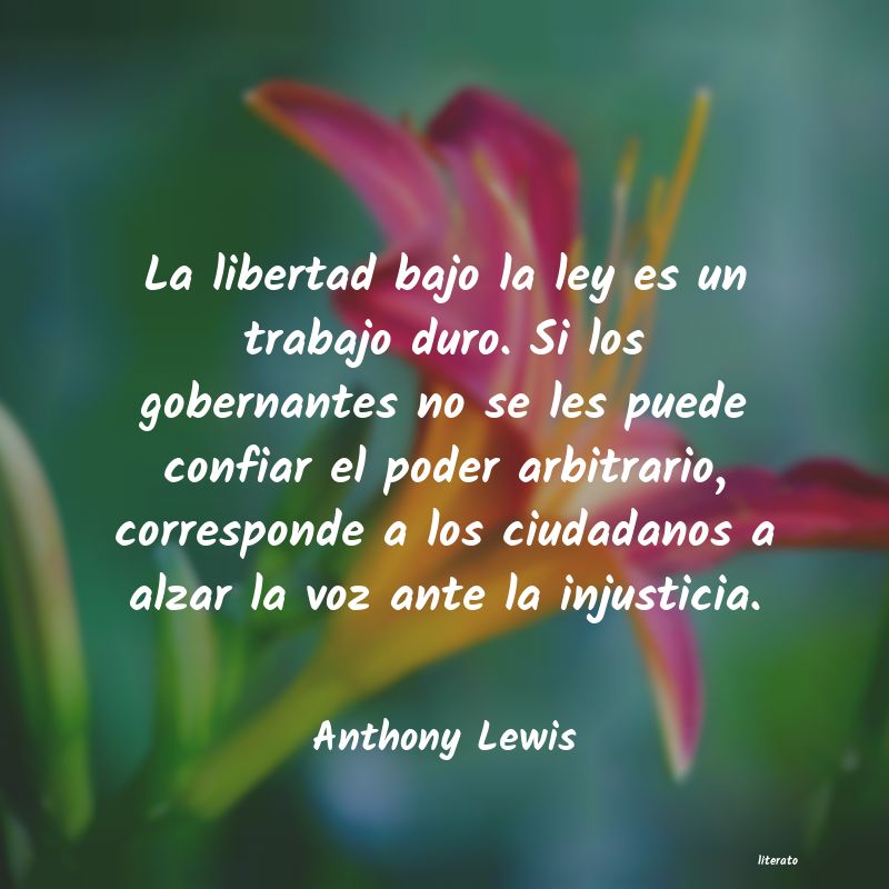 Frases de Anthony Lewis