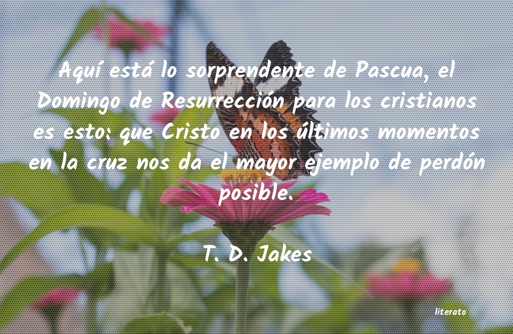 Frases de T. D. Jakes