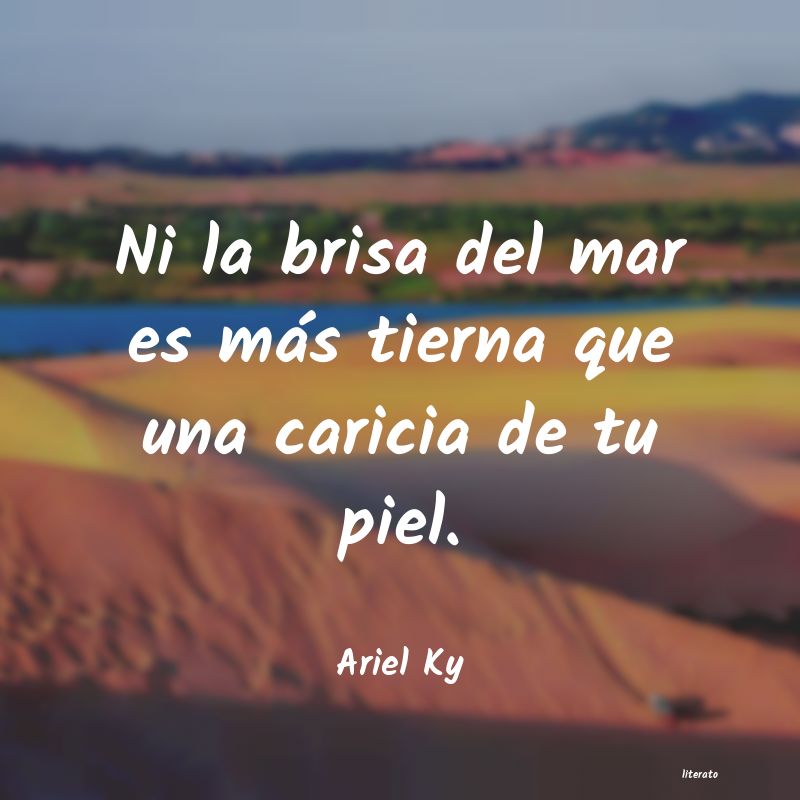 Frases de Ariel Ky