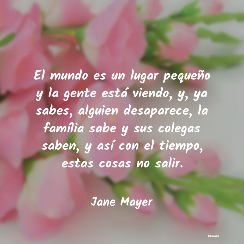 frases de Jane Mayer
