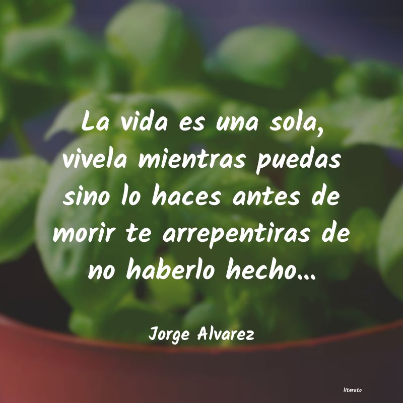 Frases de Jorge Alvarez