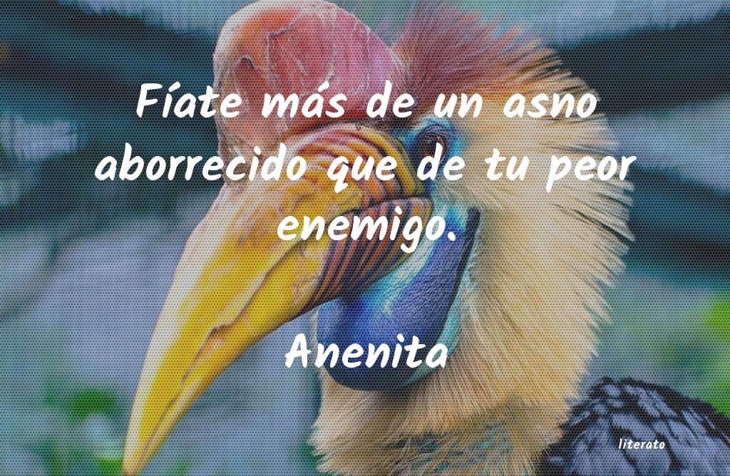 Frases de Anenita