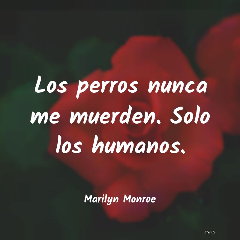 Frases de Marilyn Monroe