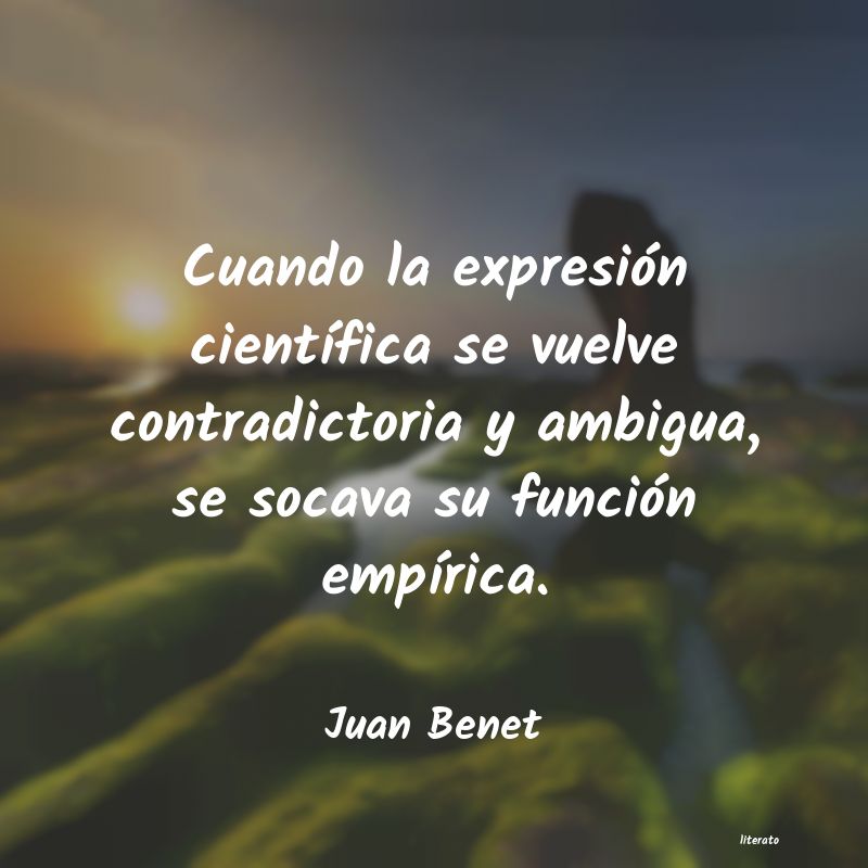 Frases de Juan Benet