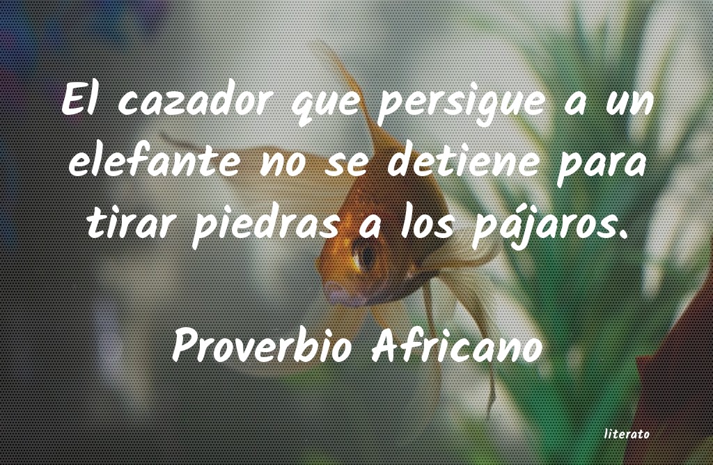 frases de Proverbio Africano