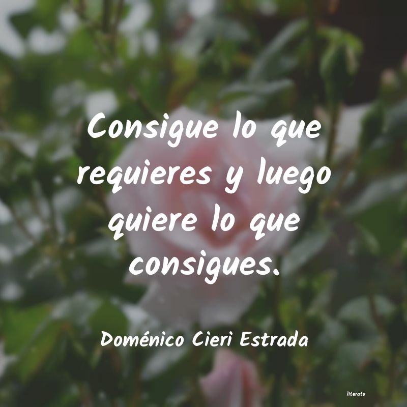 Frases de Doménico Cieri Estrada