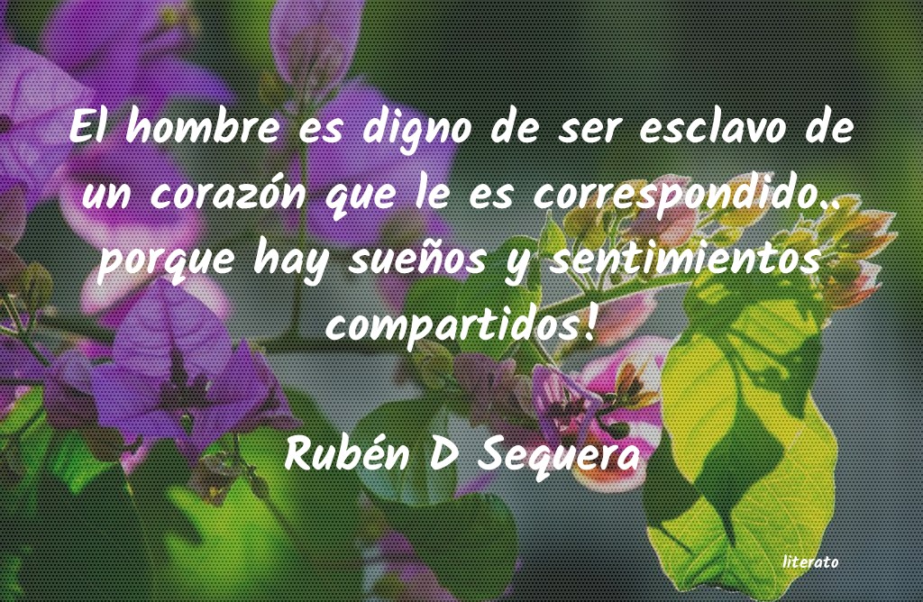frases de Rubén D Sequera