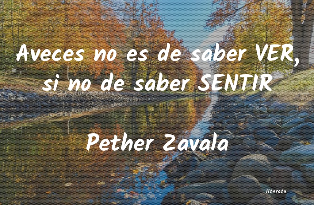 frases de Pether Zavala