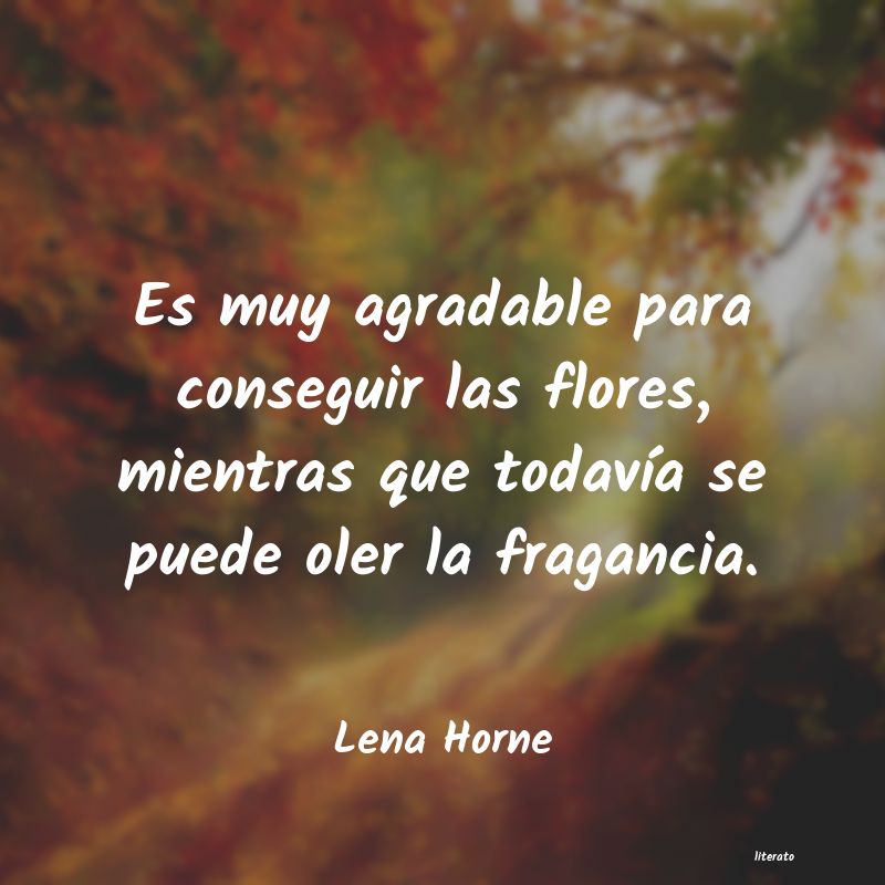 Frases de Lena Horne