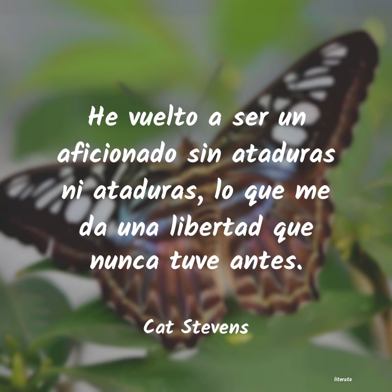 Frases de Cat Stevens