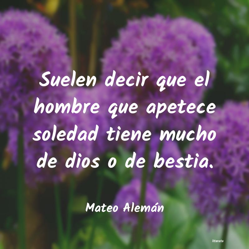 Frases de mateo aleman - literato