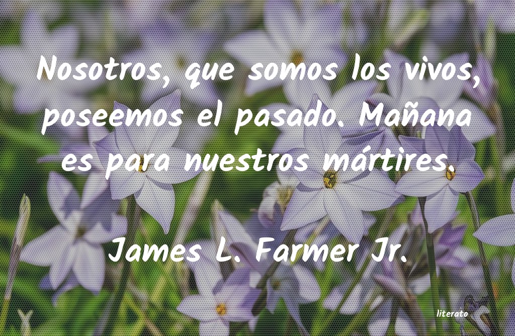 Frases de James L. Farmer Jr.