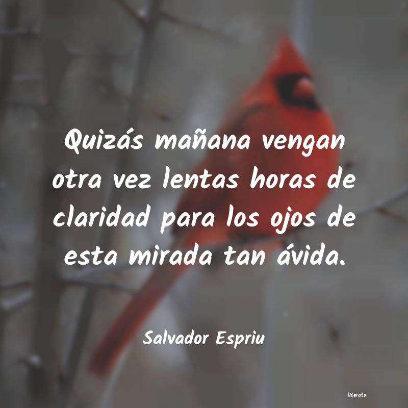 Frases de Salvador Espriu