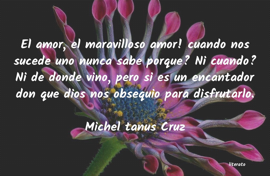 Frases de Michel tanus Cruz