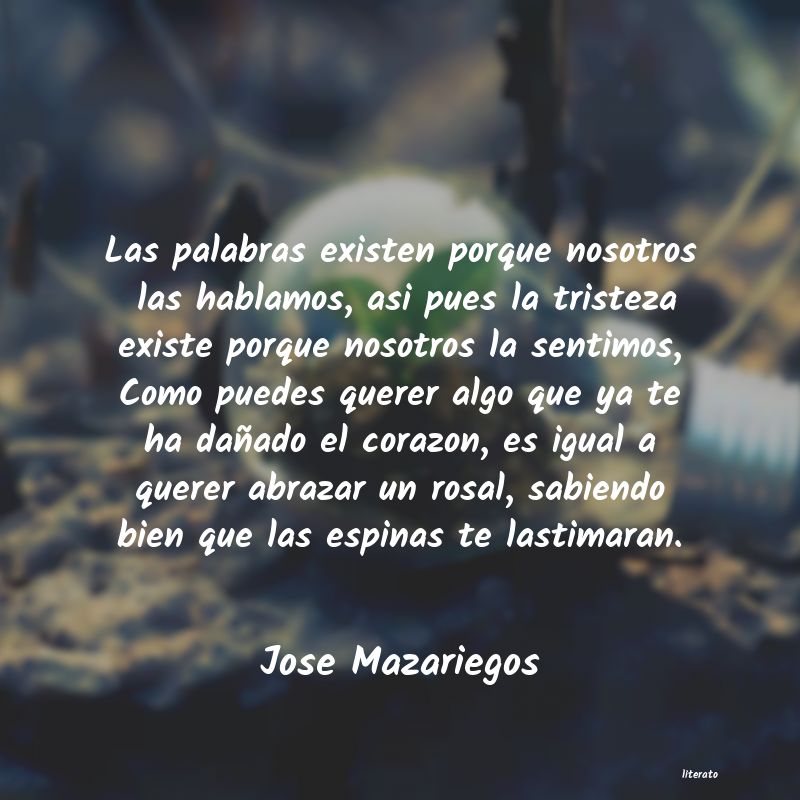 Frases de Jose Mazariegos