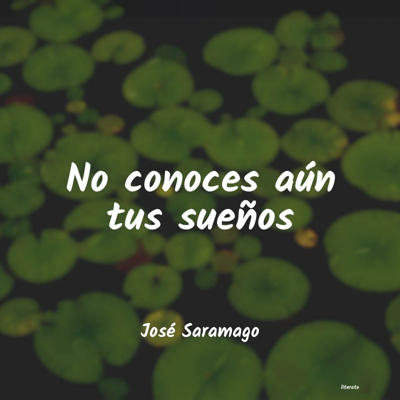 frases de José Saramago