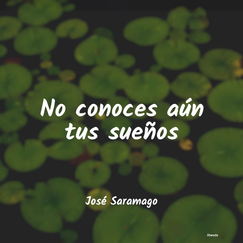 Frases de José Saramago