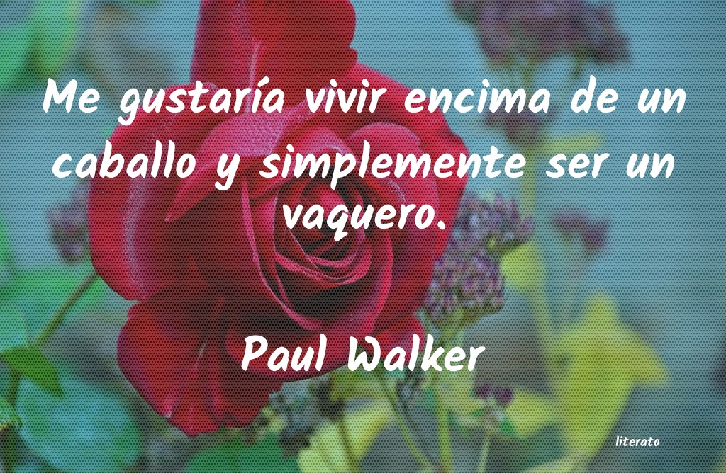 Frases de Paul Walker