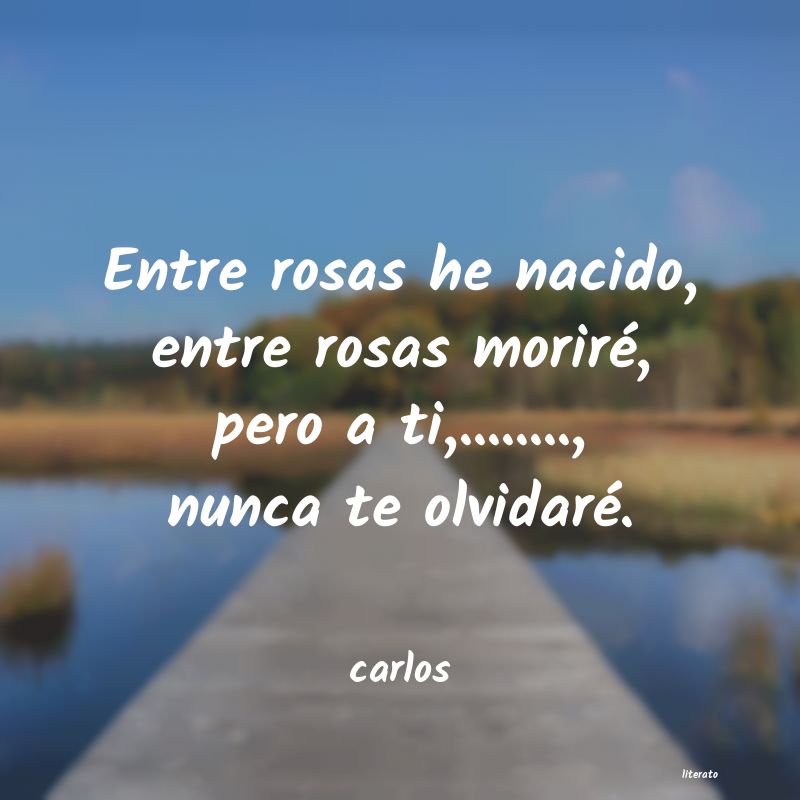 Frases de carlos