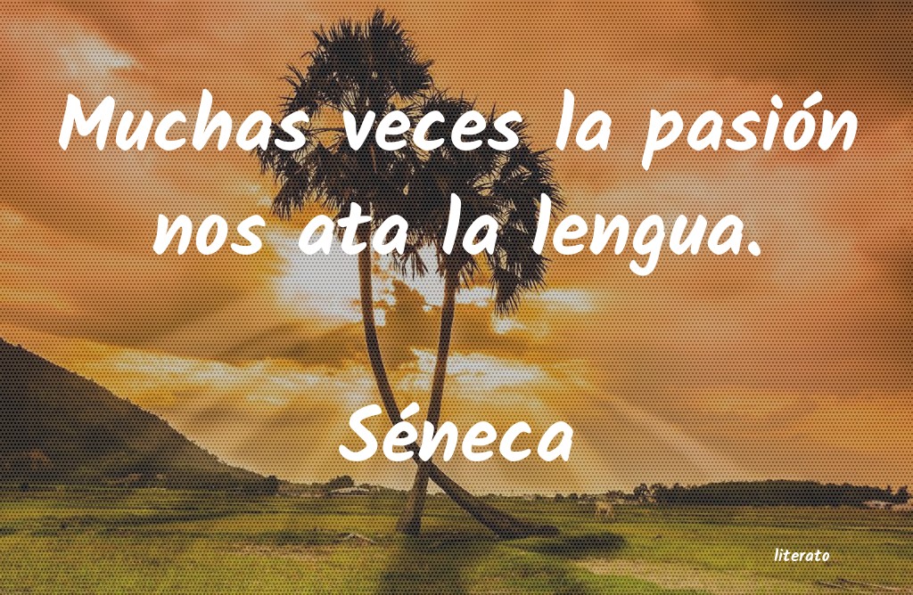 frases de Séneca