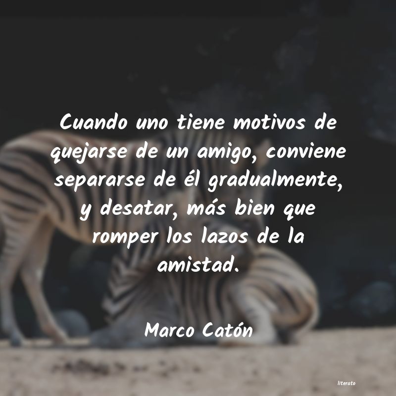 Frases de Marco Catón