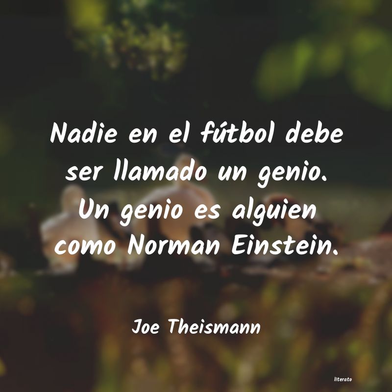 frases de Joe Theismann
