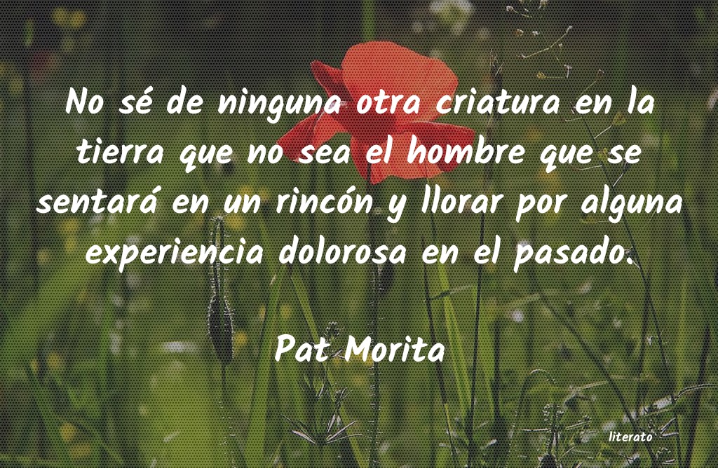 frases de Pat Morita