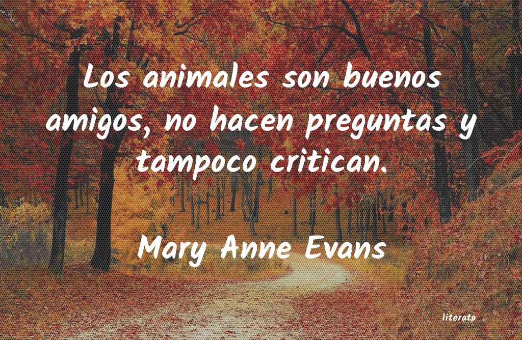 Frases de Mary Anne Evans