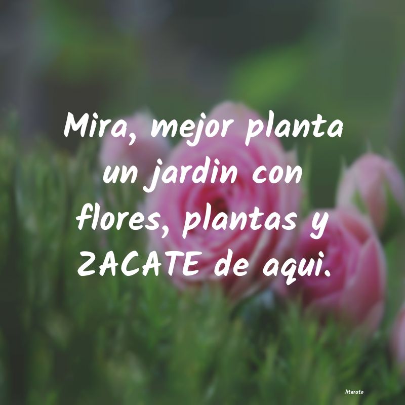 frases