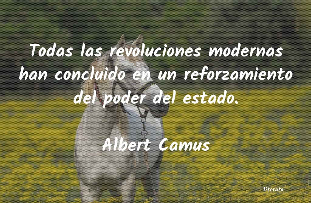 frases de Albert Camus