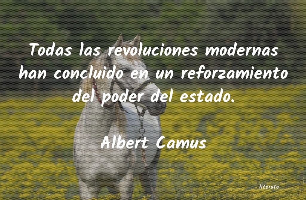 Frases de Albert Camus