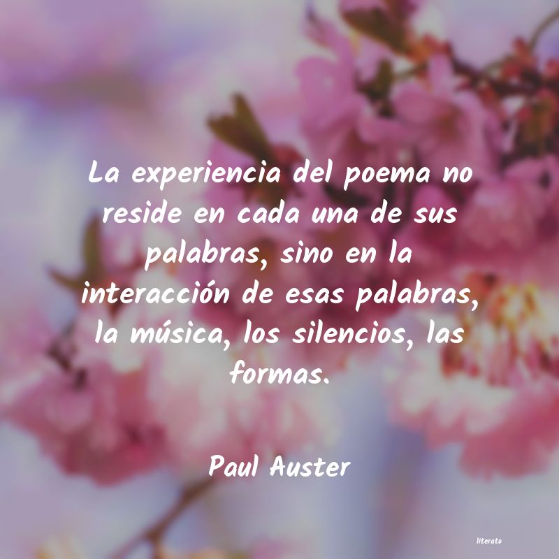 frases de Paul Auster