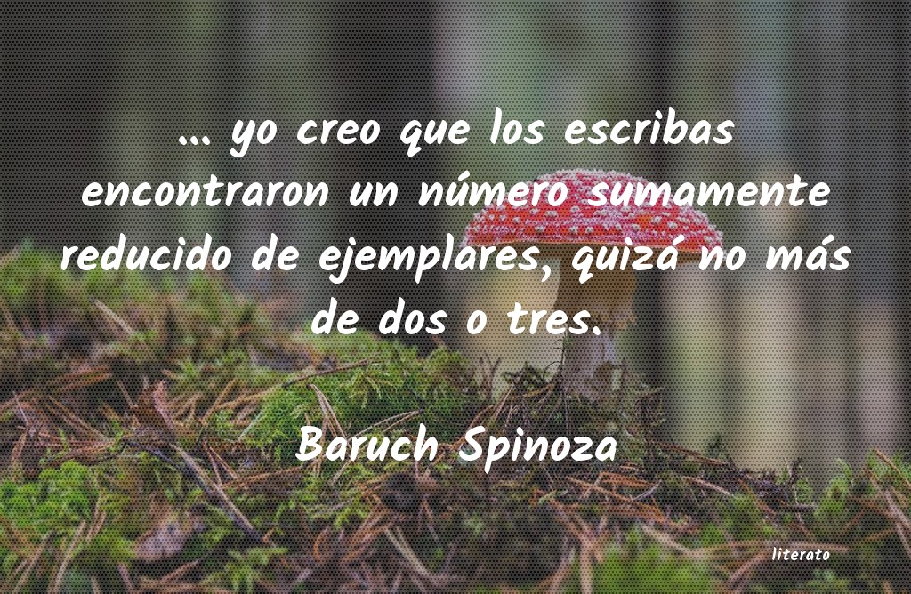 frases de Baruch Spinoza