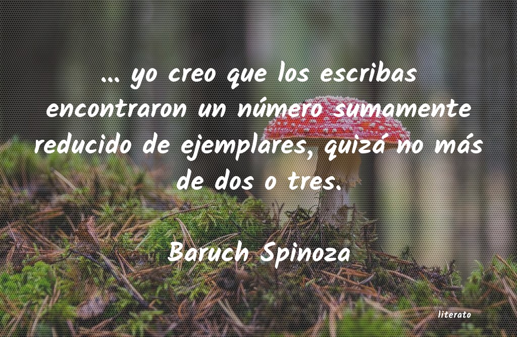 Frases de Baruch Spinoza