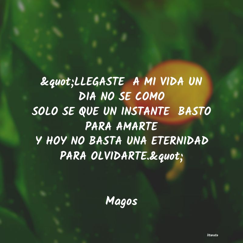 Frases de Magos