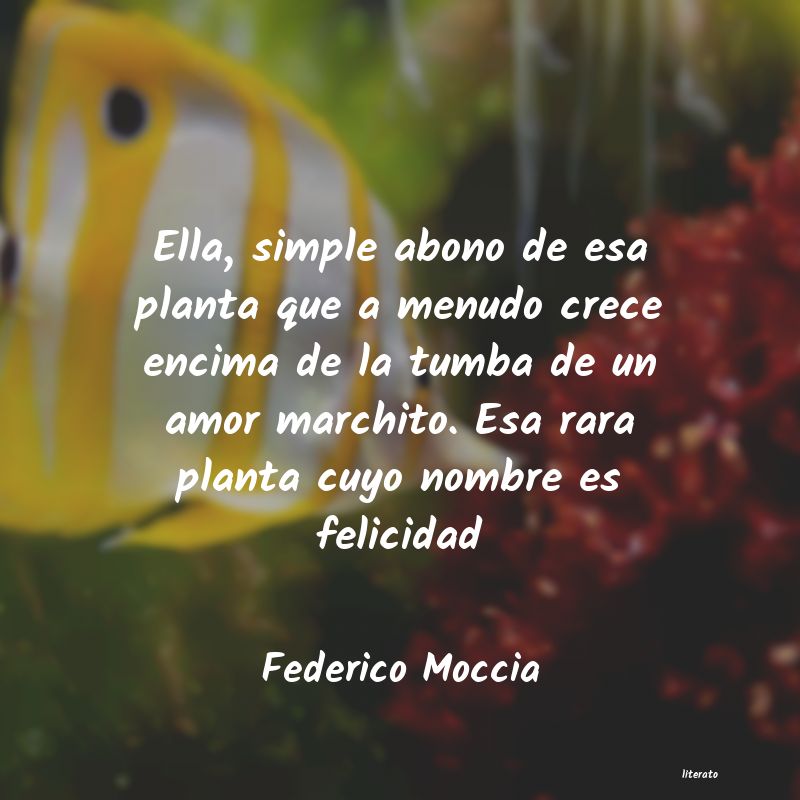 Frases de Federico Moccia