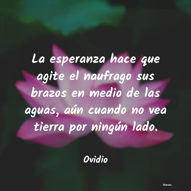 Frases de Ovidio