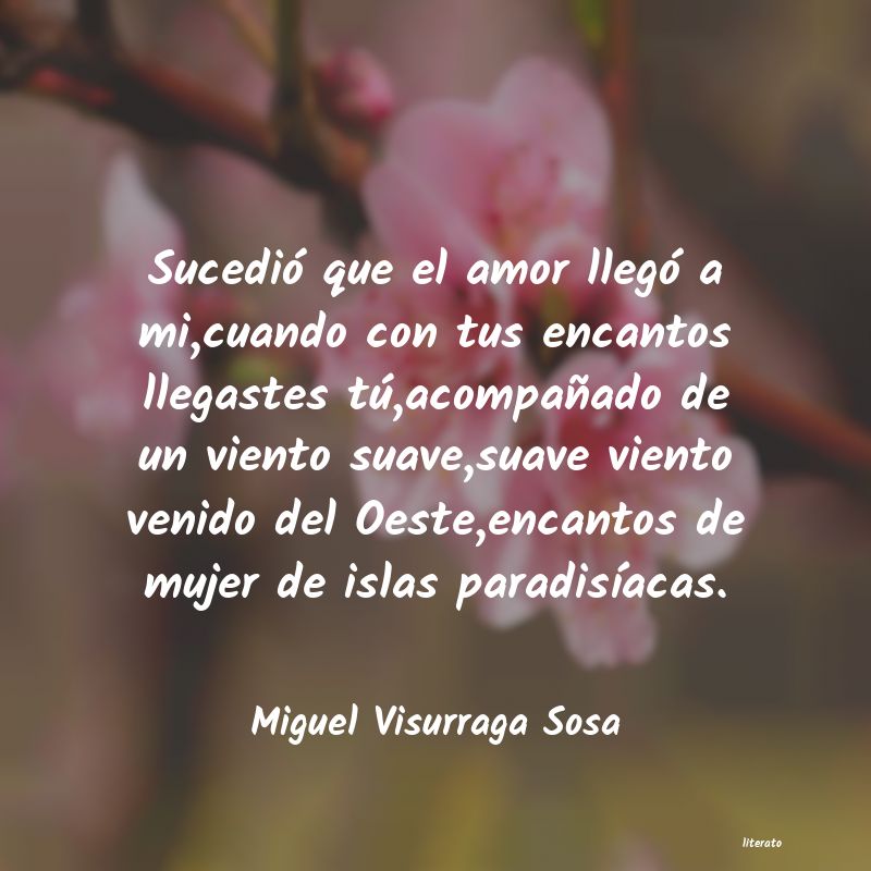 frases de Miguel Visurraga Sosa