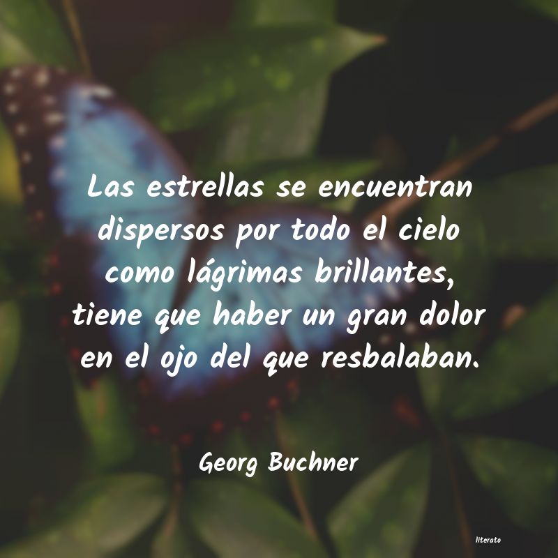 Frases de Georg Buchner
