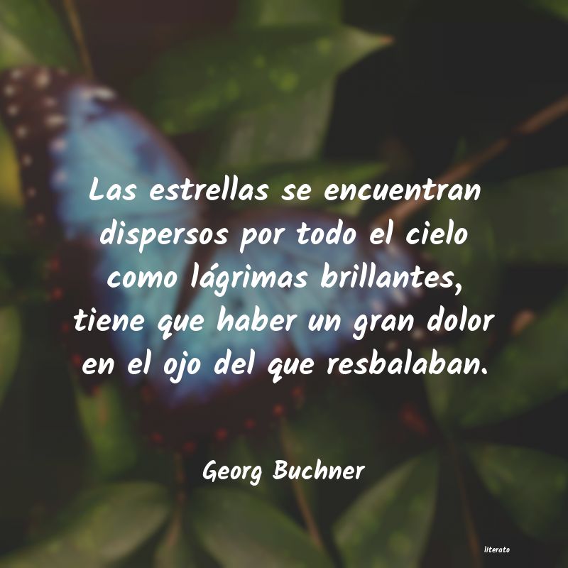 frases de Georg Buchner