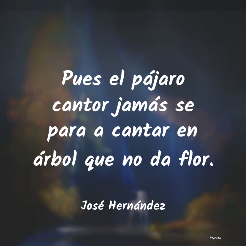 frases de José Hernández