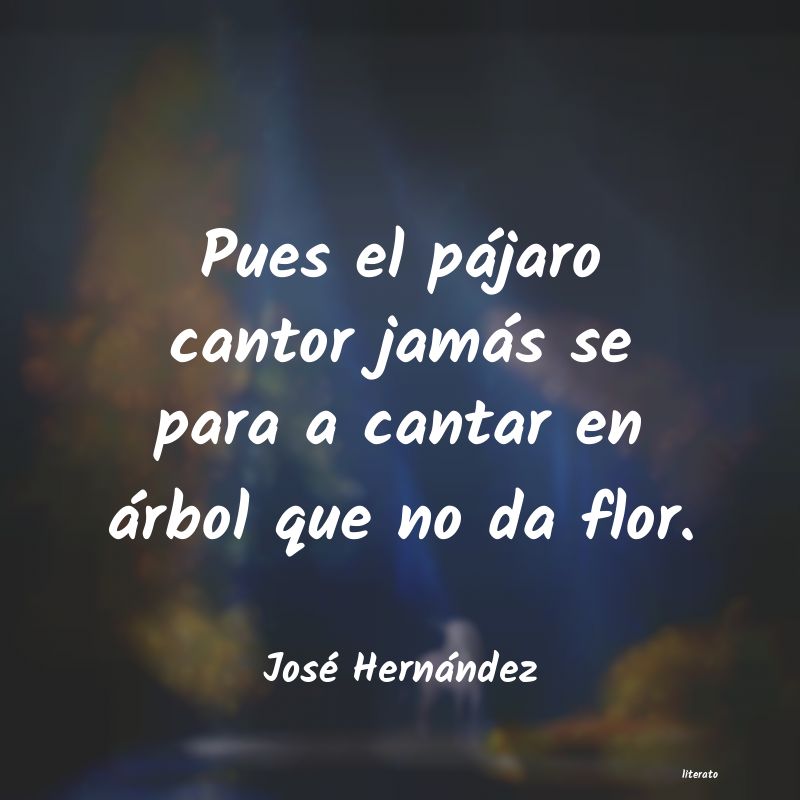 Frases de José Hernández