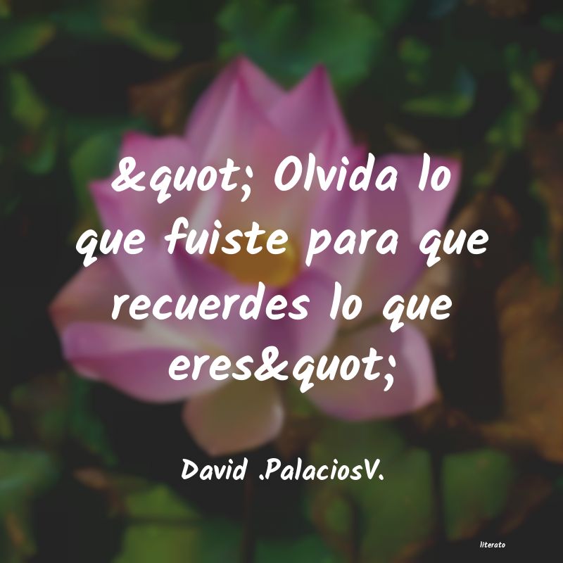 Frases de David .PalaciosV.