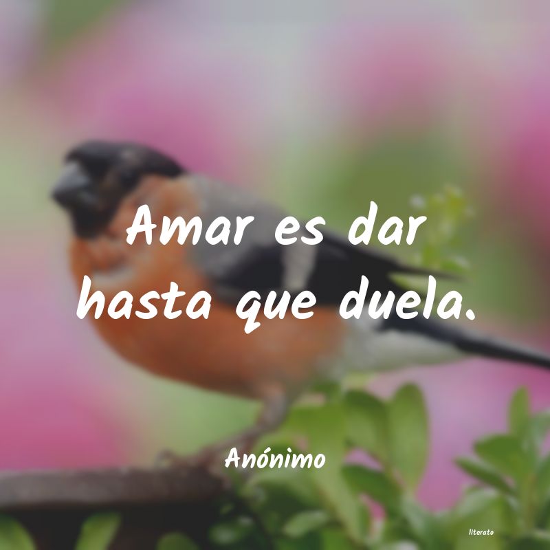 frases