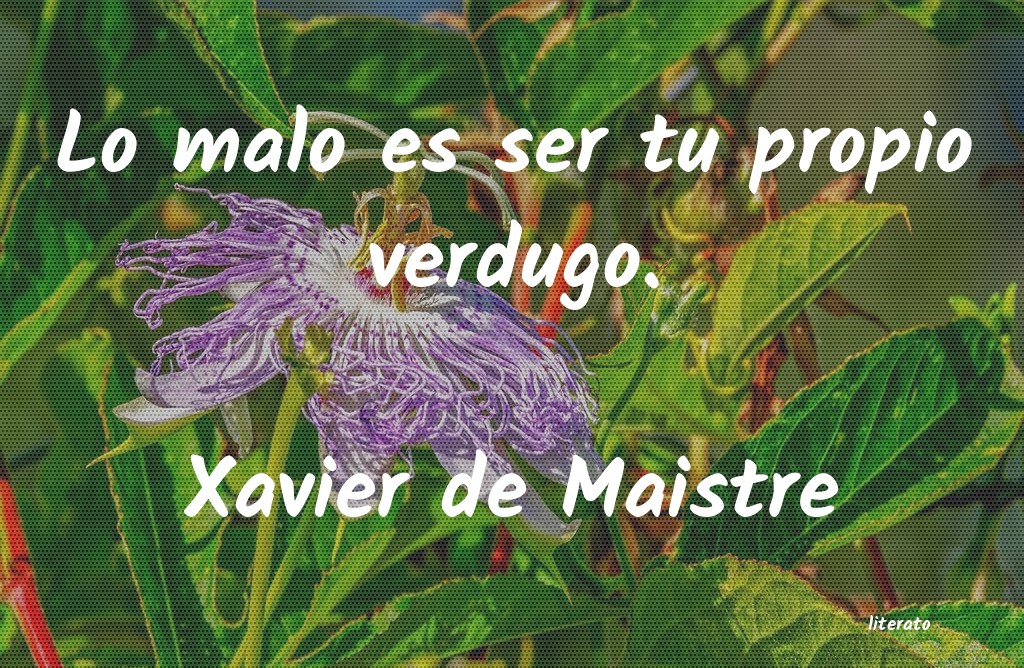 frases de Xavier de Maistre