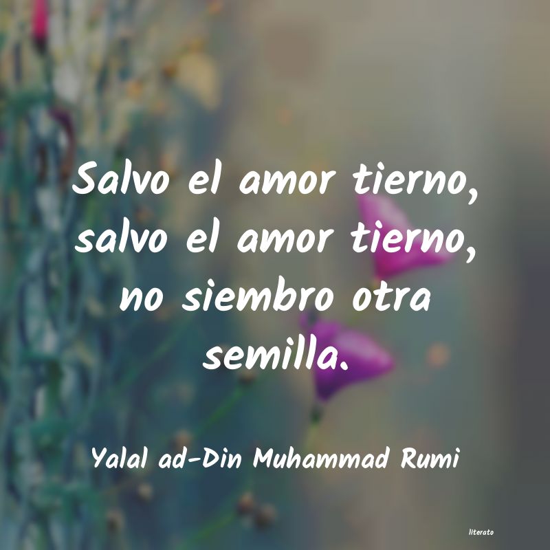 Frases de Yalal ad-Din Muhammad Rumi