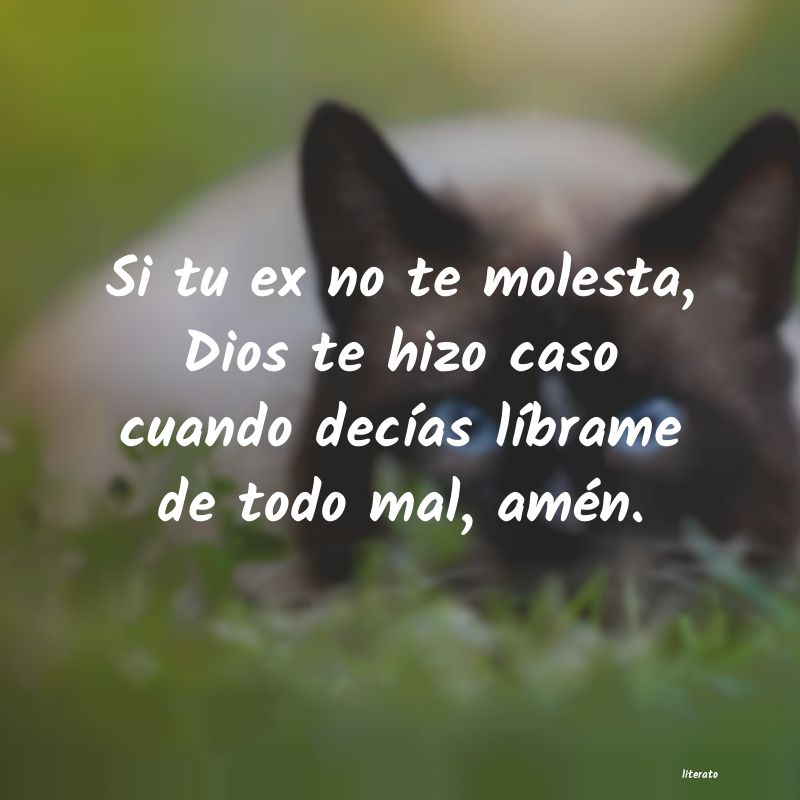 frases