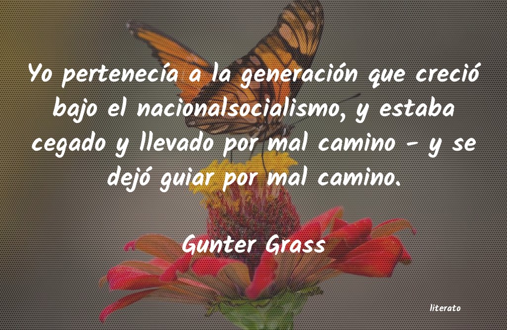 frases de Gunter Grass