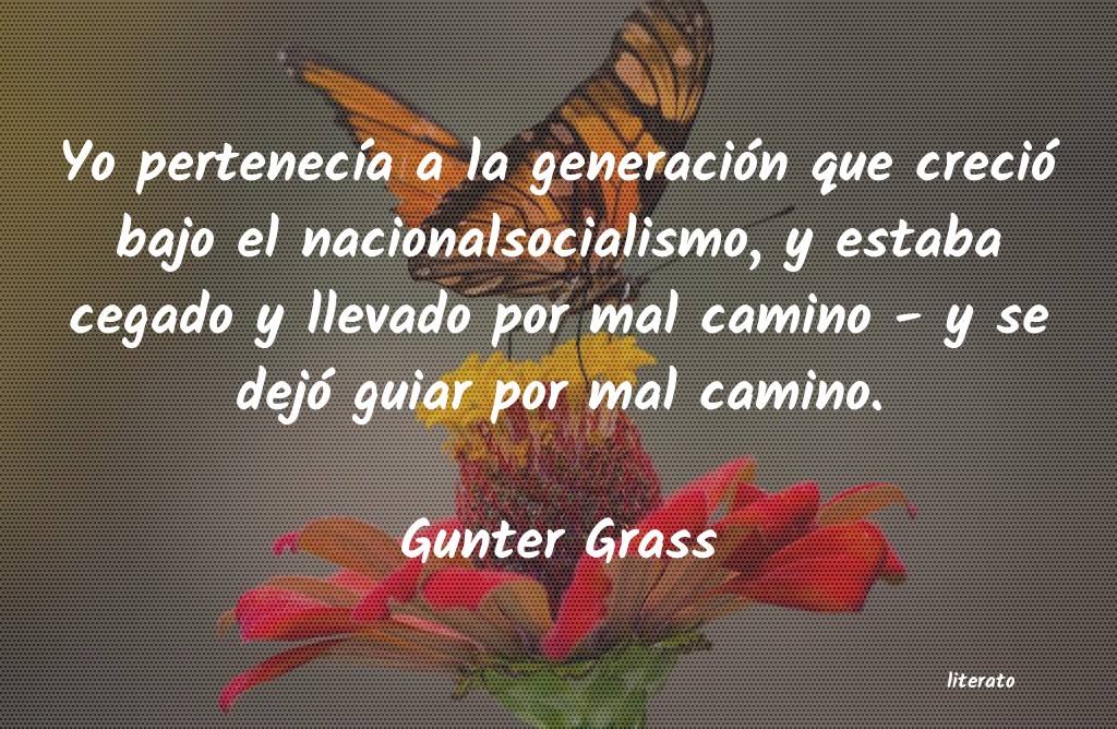 Frases de Gunter Grass